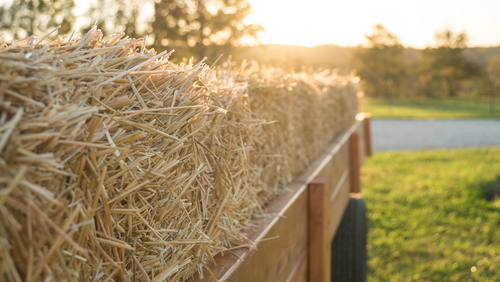 Steps to Take After a Hayride Accident This Autumn