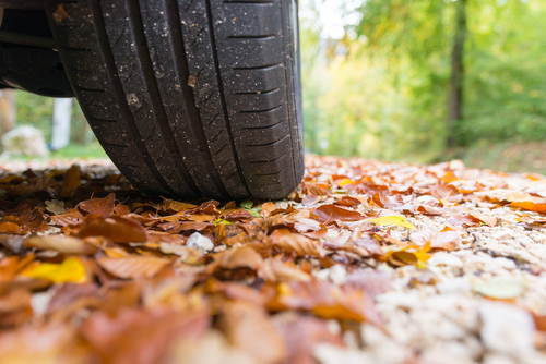 How to Avoid November Driving Hazards