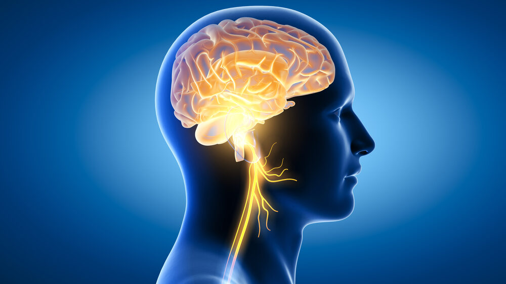 Brain Stem Injuries Explained: Symptoms, Consequences, and Legal Recourse in New Jersey